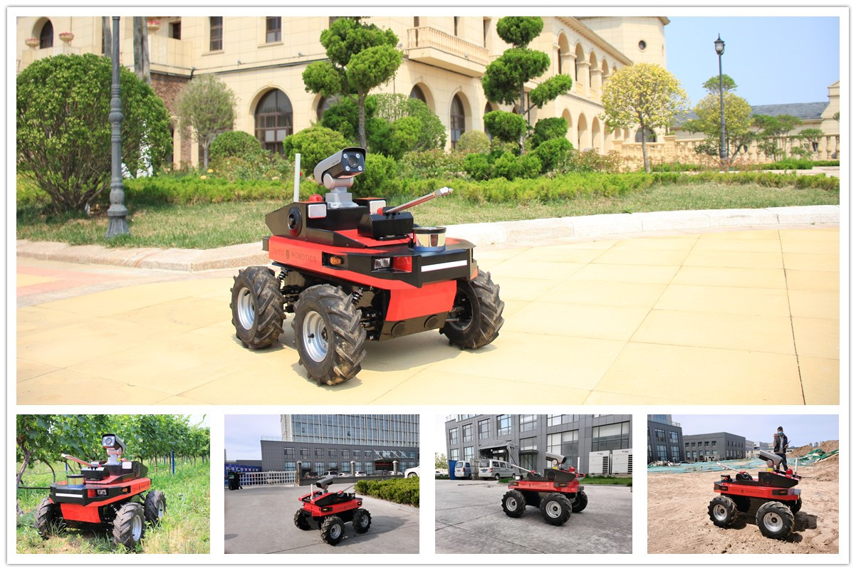 Robot de seguridad ugv WT1000